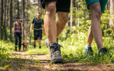 Wandern mit Kindern